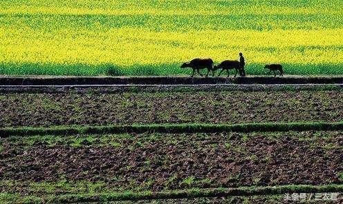 到2020年,我国农村要全面实现这四大项目的改