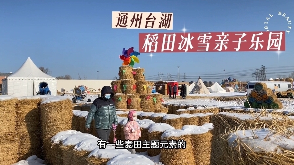 稻田里的冰雪乐园 解锁冬季新体验