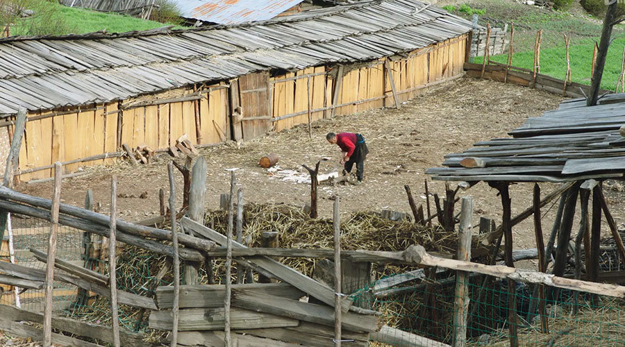 纪录片《极地》第二集 纪录片《极地》第二集