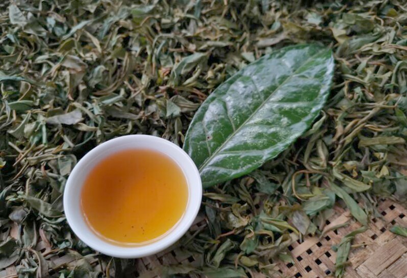 枇杷茶——崇州市鸡冠山特有的地理标志性产品,古时便作为贡品走过