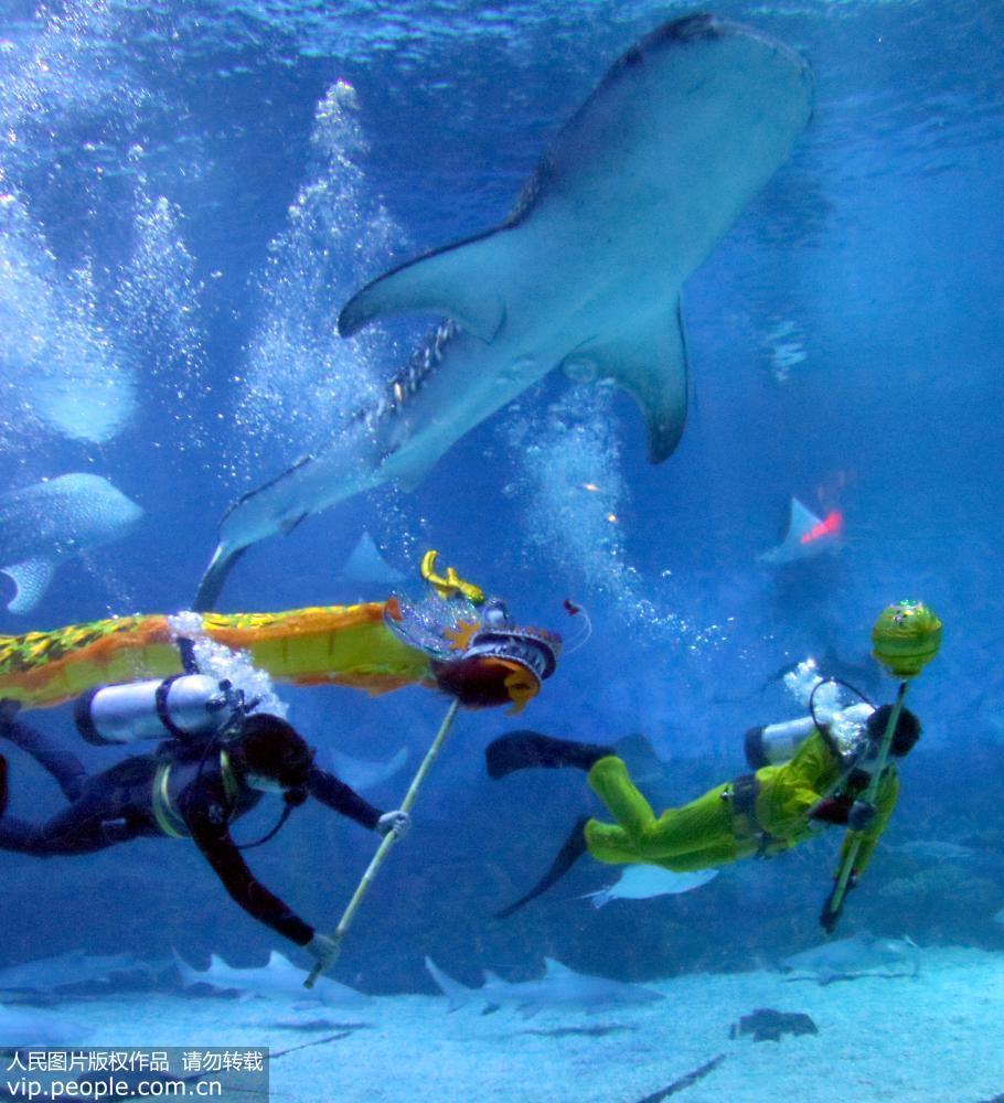 2017年5月27日，山东烟台一海洋公园的潜水员们正在精心排练他们自编自演的“水下舞龙”节目，用妙趣横生的表演和全新的视觉体验迎接即将到来的端午节假期。