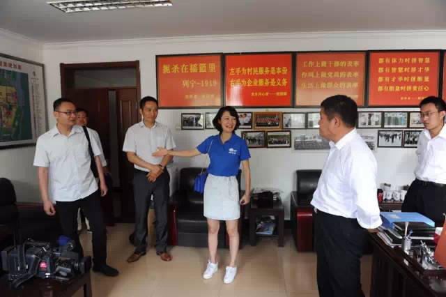 聂一菁助力石家营村 带专家升级樱桃园