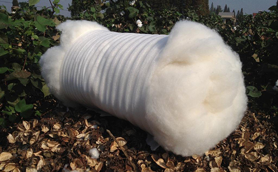 棉花市场利多难寻 郑棉主力期价创今年新低