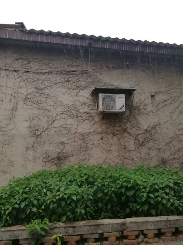 杀6人A级通缉犯逃犯王力辉落网!