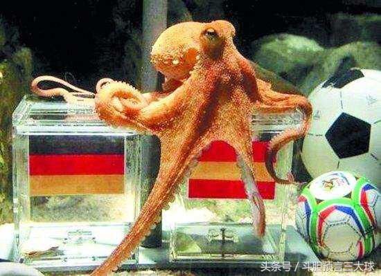 32强小组出线全预测:2018世界杯最有希望获得