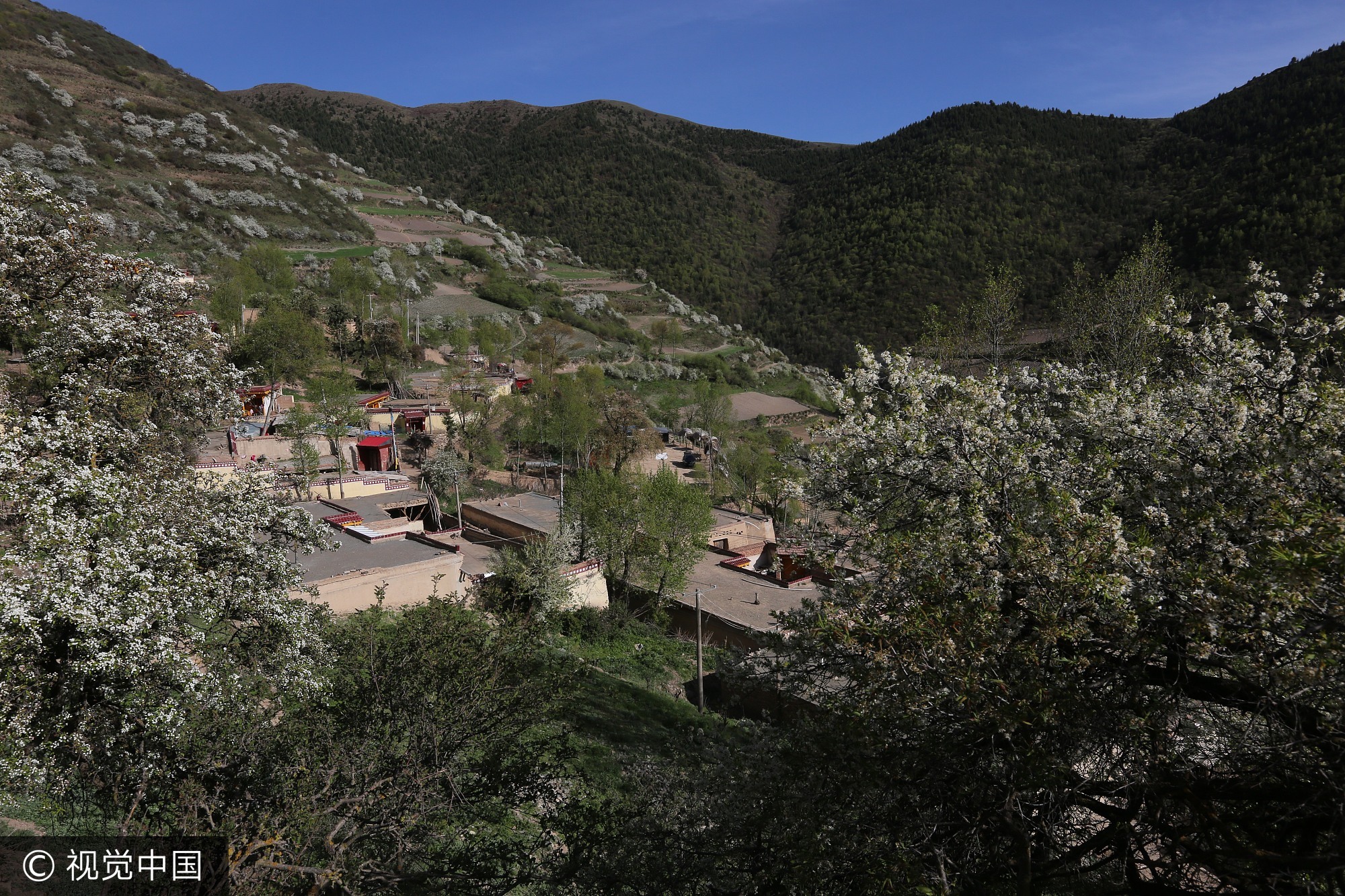 他们的家在洮砚乡卡日山村纳儿队，村庄位于高海拔的山坡上，风光秀美，但几乎没有几分平地，当地人的生活主要靠采砚石和上山采药卖钱。洮砚与广东端砚、安徽歙砚、澄泥砚齐名，并称中国四大名砚。洮砚的开采距今已有1300多年的历史，产于甘肃省甘南藏族自治州卓尼县洮砚乡的石山中。自唐代成名以来，洮砚一直是皇室文豪、富商巨贾才能拥有的珍品文房四宝。