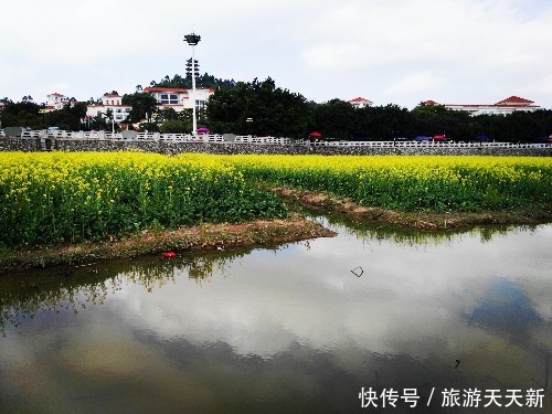 珠三角的东莞和惠州,你认为哪个城市更宜居?