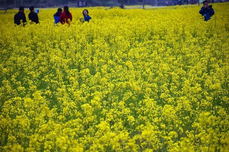 南昌最富最穷区排行榜!2018年最新数据,第一名