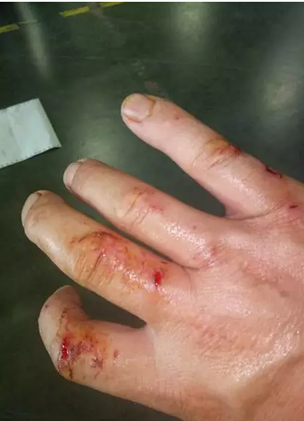 "要不是你我就没命了" 苏宁物流小哥跳河砸窗救人却默默无闻,直到