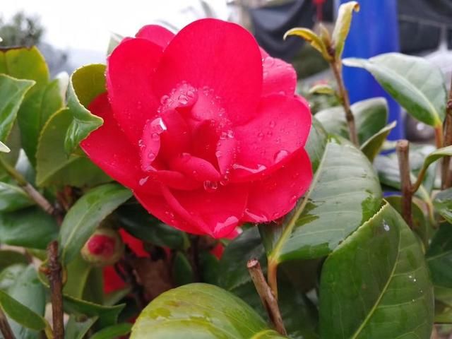 姑姐35岁还没结婚,我嫁进婆家才知,她为啥没人