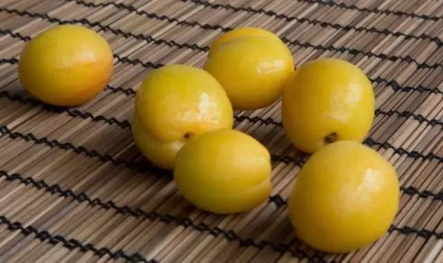 让佟丽娅念念不忘的新疆小白杏,给你初恋的味