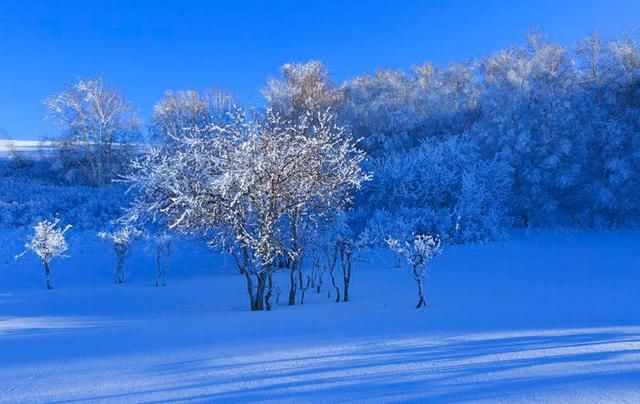 在老板眼里,3种人适合干中层,3种人适合干高层