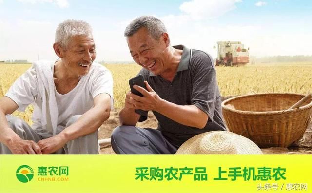 针对农产品电商上行发补贴,电商技能成为致富