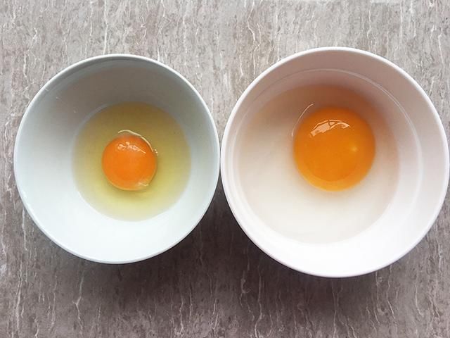 母鸡蛋包的营养价值图片