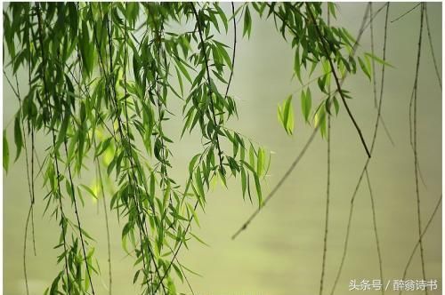 上联下联联联有味,出句对句句句皆高