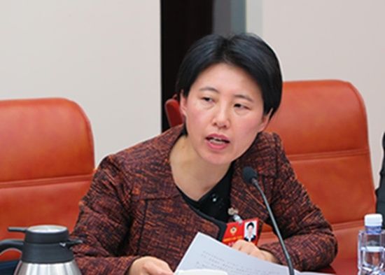 妇联界委员为全国政协2018年协商计划建言献
