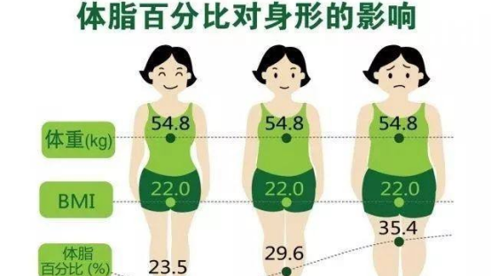 今天是“中国肥胖日” “心宽体胖”实则暗藏“杀机” 今天是“中国肥胖日” “心宽体胖”实则暗藏“杀机”