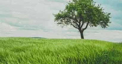 报考指南 | 这几所非211大学,就业率高到爆,毕业