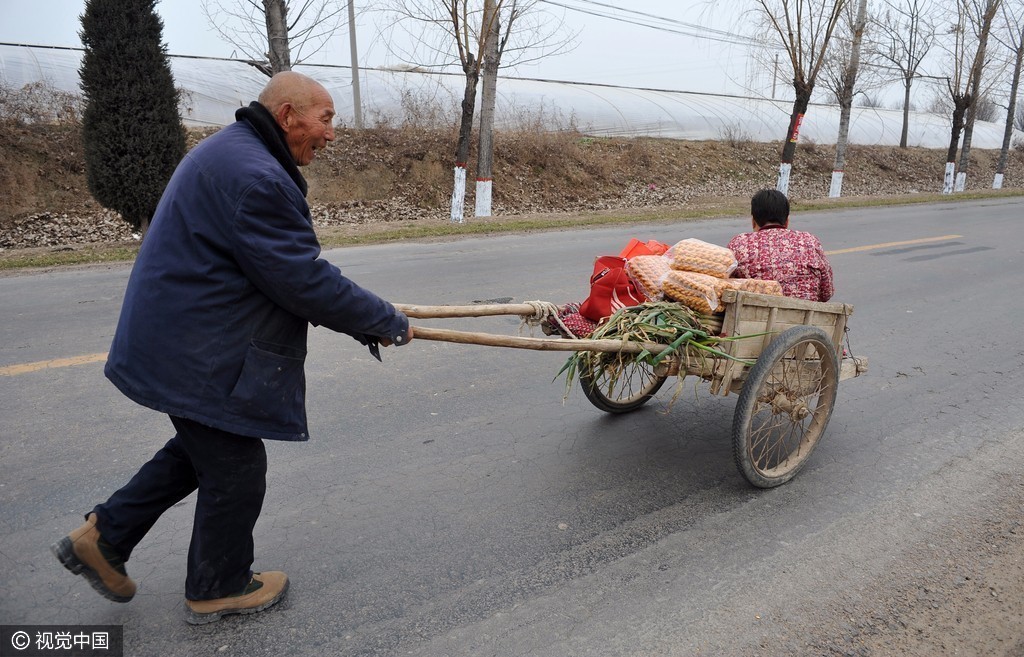 山西运城:七旬老汉推车带老伴赶年集 山西运城:七旬老汉推车带老伴赶年集
