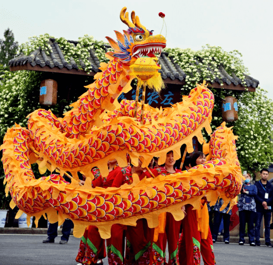 【非遗】四川省非物质文化遗产仪陇金龙舞