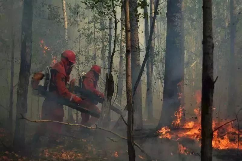超好听!来自武警森林部队,将被时代唱响的歌献