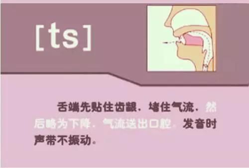 48个英语音标发音规则