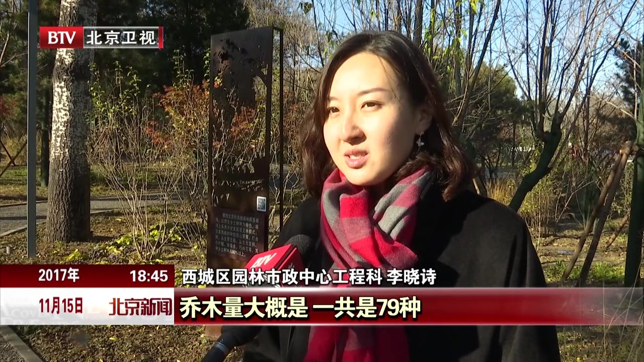 森林进城  北京市西城老城区拆违增绿近四万平方米