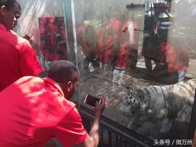 今天,万州西山公园发生的一幕…传到国外去了