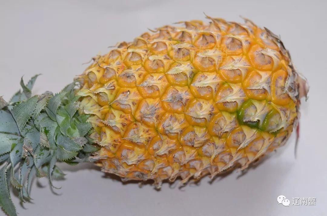 一把菜刀,四个步骤,教你完美削菠萝!