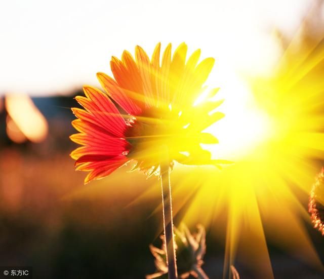 细节见人品,小事见人心