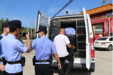 两起恶犬袭人涉案30余万 执行法官拘人扣车