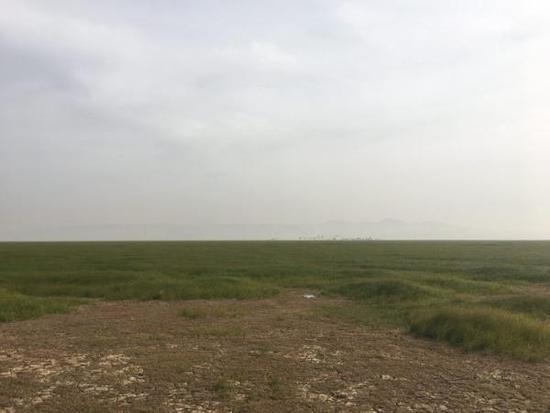 鄱阳湖建闸地:宽2.8千米,候鸟栖息的草洲将消失
