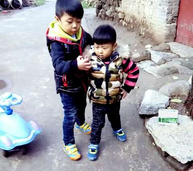 不知大家有没有发现,家里老二总比老大聪明些