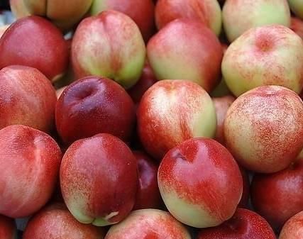 别错过啦!哪些四月当季水果好吃又便宜?