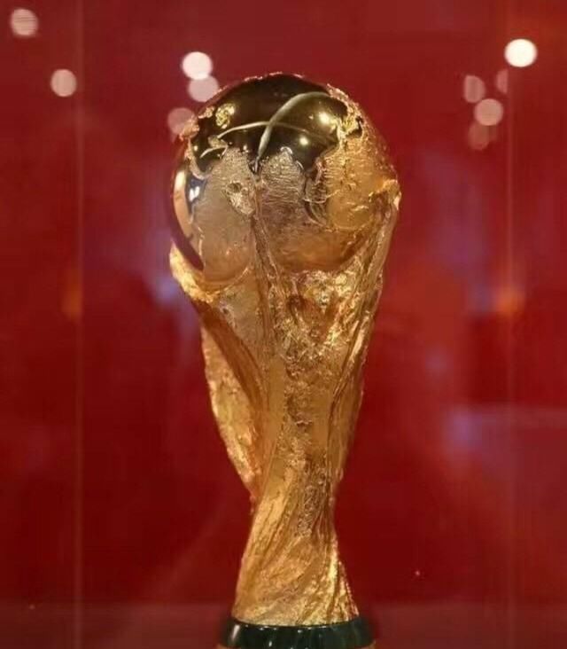 世界杯中国除了足球队没去,其他都去了!这时候