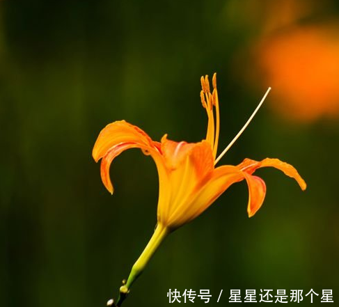 这生肖天生命格金贵,一生贵气缠身,要啥有啥,财