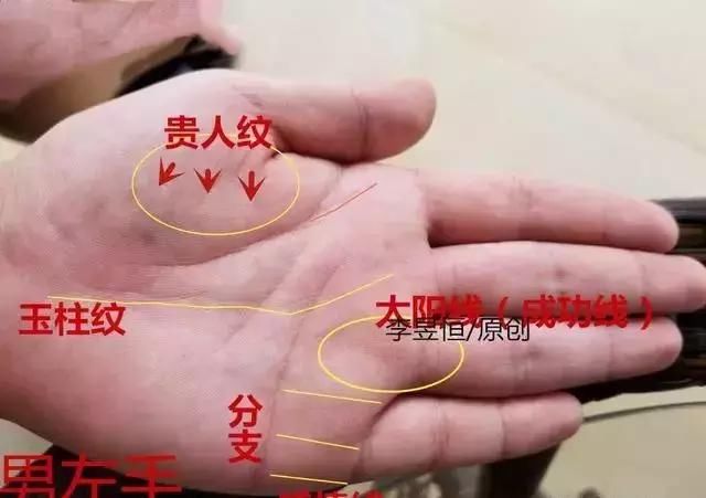 手相:手如伏龟,食指独长,十人九富,富贵何愁!