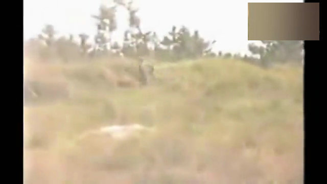 图为日媒拍摄下的画面