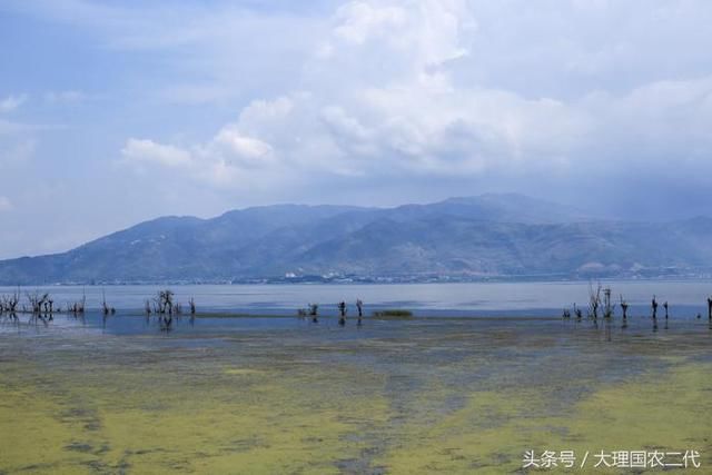 如果说旅行是一剂中药,那么愈合伤口需要多久
