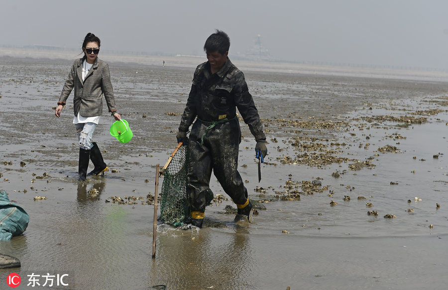 天津赶海人 沿海滩涂里赶潮水讨生活!