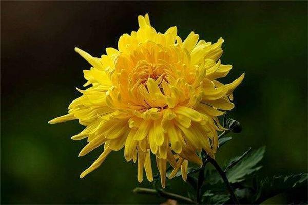 在殡仪馆上班,一个月到底能赚多少钱?听听内部