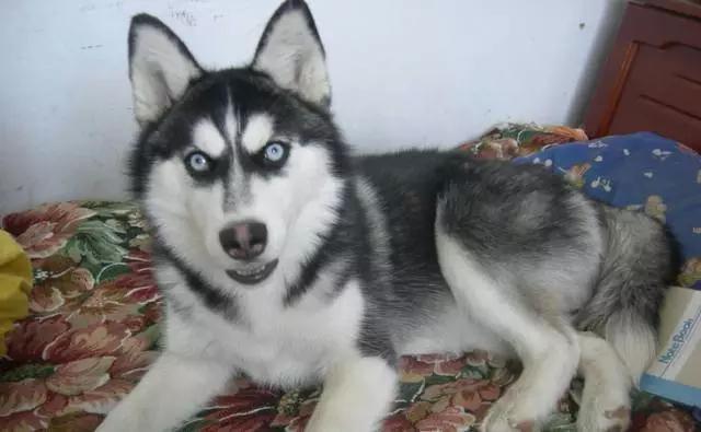 探究宝宝爱揉眼睛原因撑开一看浑身鸡皮疙瘩