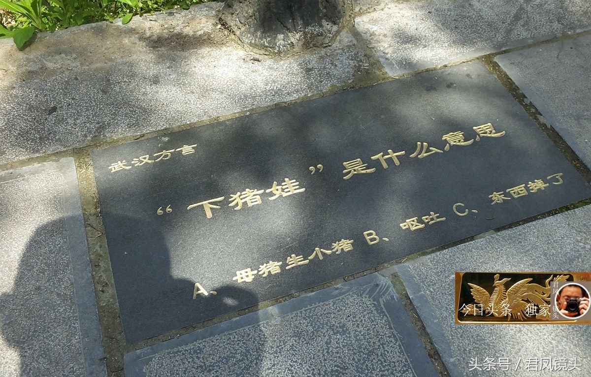 湖北宜昌:景区步行道上的武汉方言!侨资、下猪