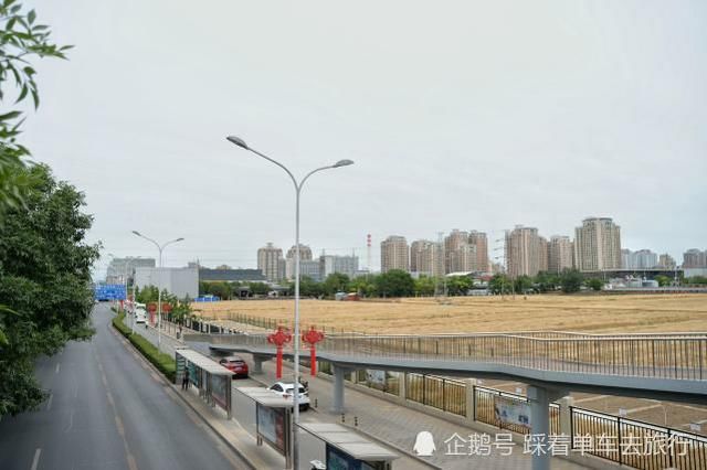 北京三环内世界最贵麦田喜迎丰收,附近房价每