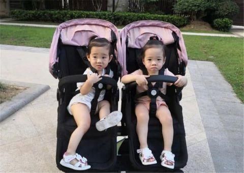 林志颖的双胞胎儿子,杨威的双胞胎女儿,取的名