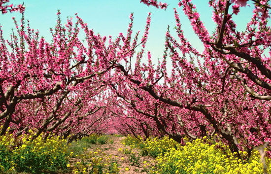 五一穷游攻略出炉!山东这50多个特色景点统统