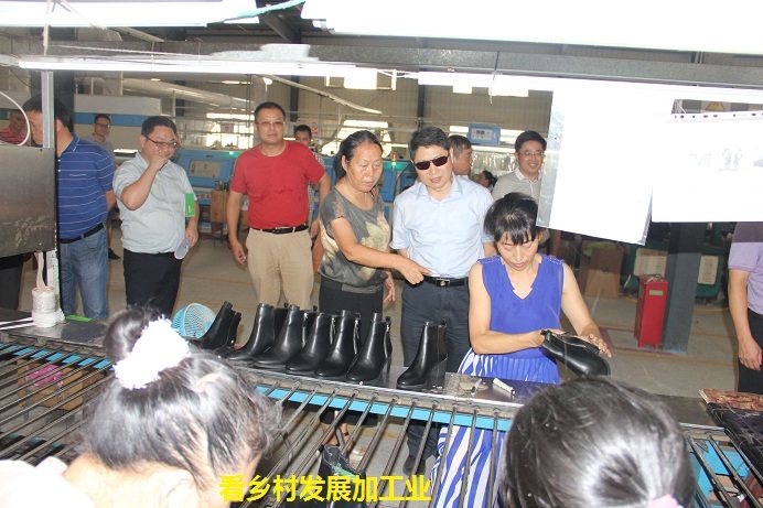 看现场、听汇报、促乡村振兴 办实事、真扶贫