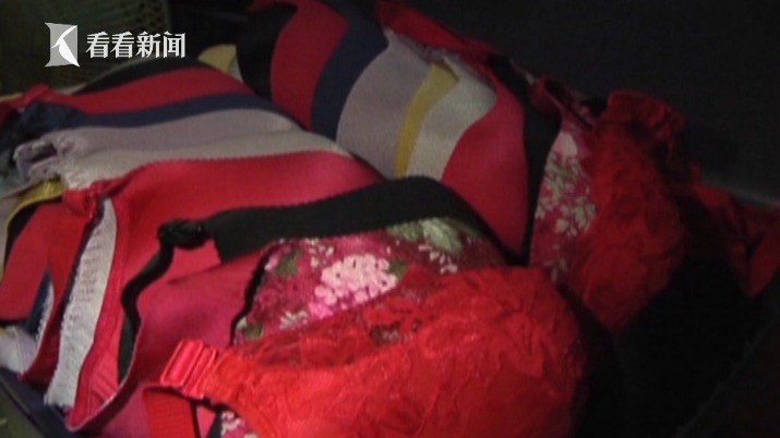 视频|内衣大盗家中搜出200多套女性内衣 每日欣赏整理成最大乐趣