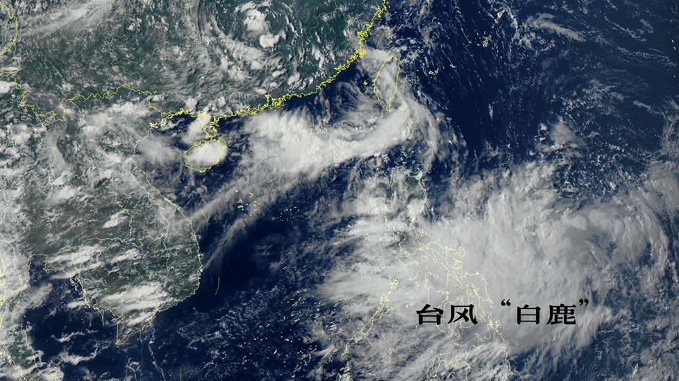 台风白鹿登陆福建东山县 6省区有大到暴雨