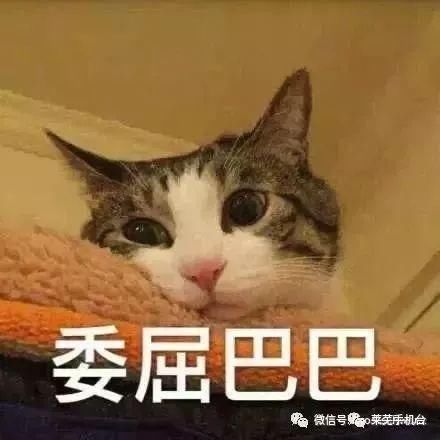 女生怎样撩到自己喜欢的男孩子?